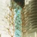 2001｜OG—project｜基本計画｜03