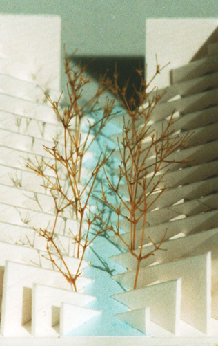 2001｜OG—project｜基本計画｜03