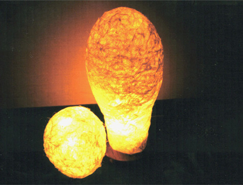 LIGHT 02